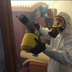 Уничтожение клопов в квартире. Лесной